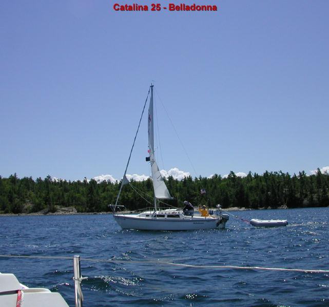 Belladonna66
