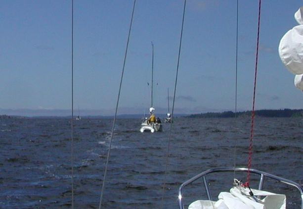 motoring_whale_back