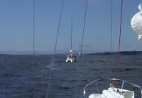 motoring_whale_back